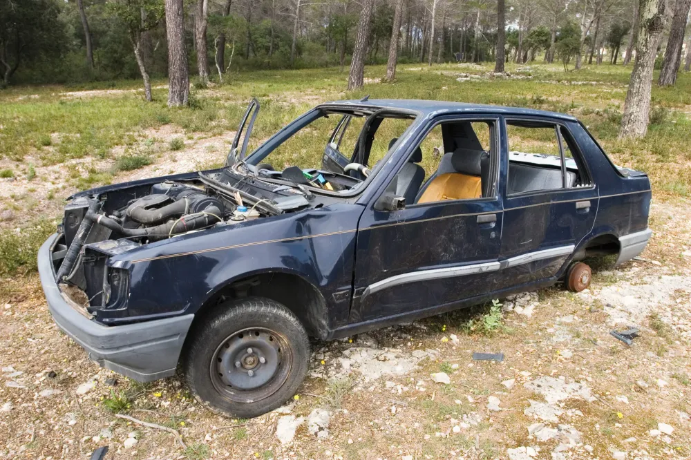 casse auto (1)